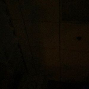 Meet your Posher, Dan